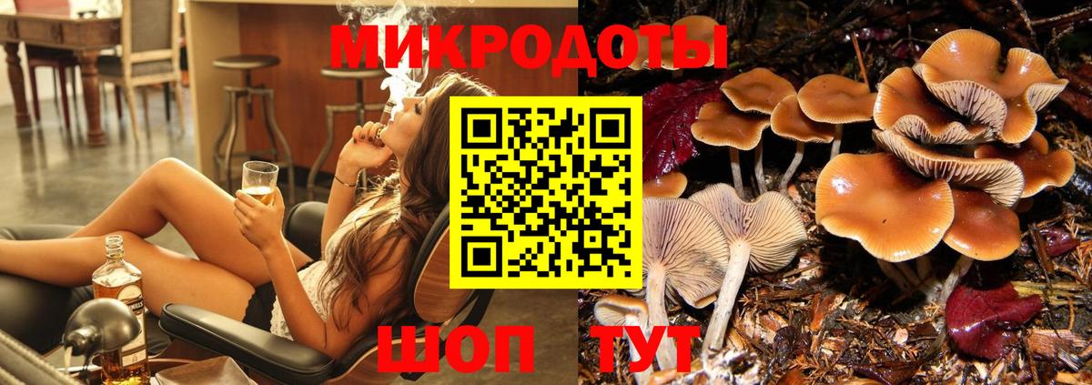 Гусь-Хрустальный  Галлюциногенные грибы Cubensis  Вход с VPN  Галлюциногенные грибы прущие грибы 
